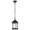 Nuvo Hopkins Outdoor Hanging Lantern 1 Light Matte Black Finish 60/6117 - alternate 1